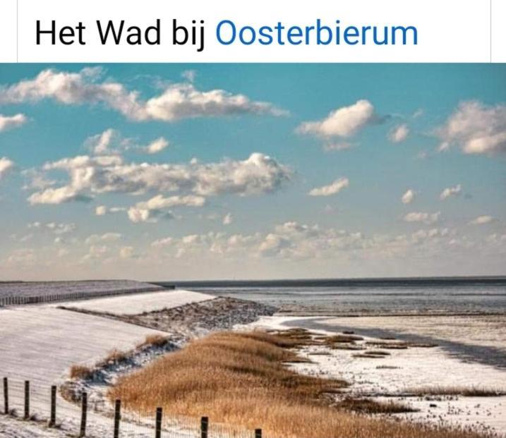4-Persoons Vakantiehuisje Simmerwille Tzummarum Zewnętrze zdjęcie
